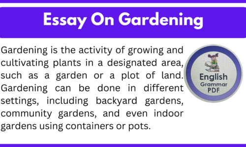 A Gardening Essay (Free English Essays)