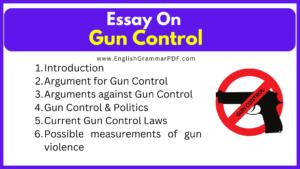 Essay On Gun Control