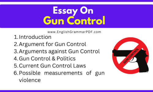 Essay on Gun Control (Free English Essays)