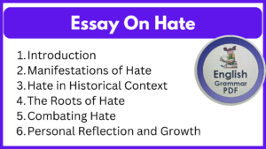 Essay On Hate