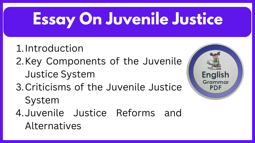 Essay On Juvenile Justice
