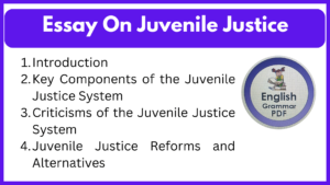 Essay On Juvenile Justice