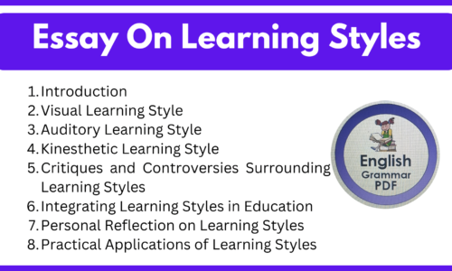 Essay On Learning Styles (Free English Essays)