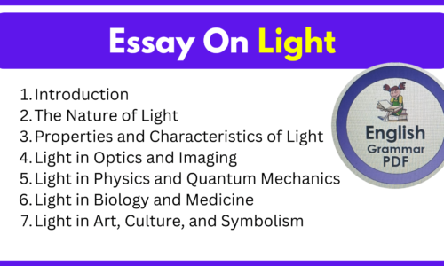 Essay On Light (Free English Essays)