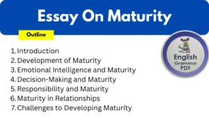 Essay On Maturity