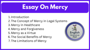 Essay On Mercy