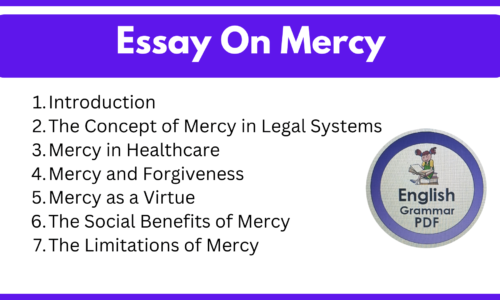 Essay On Mercy (Free English Essays)