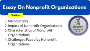 Essay On Nonprofit Organizations