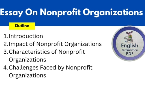 500 Words Essay On Nonprofit Organizations Free English Essays