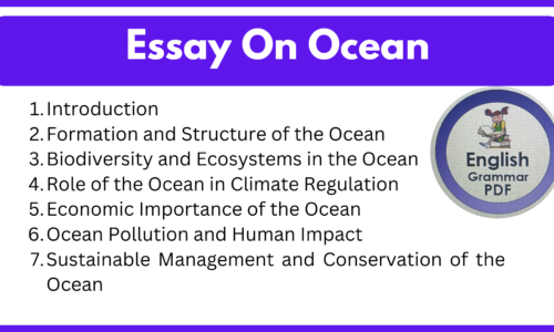 1000+ Words Essay On Ocean (Free English Essays)