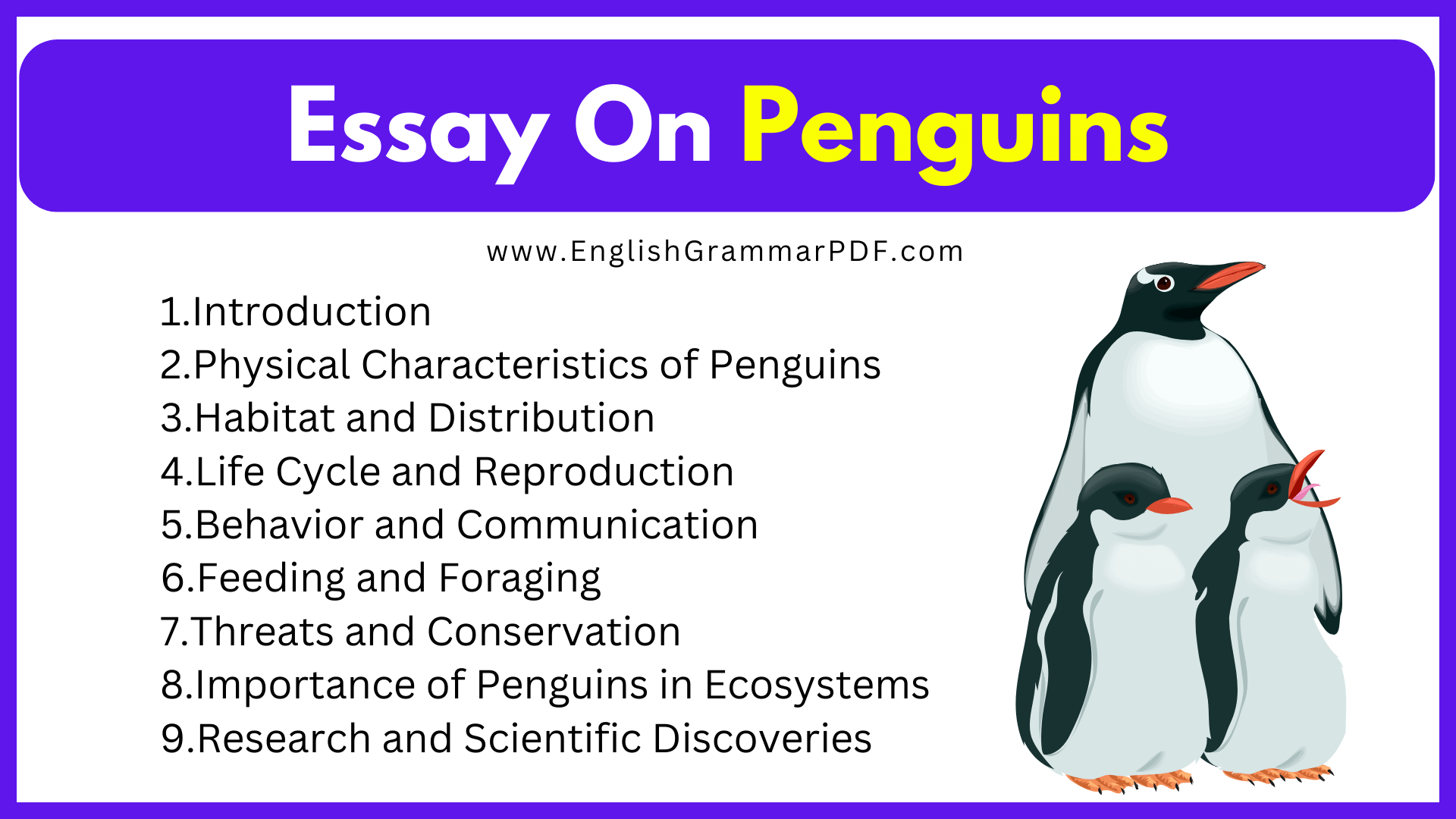 Essay On Penguins