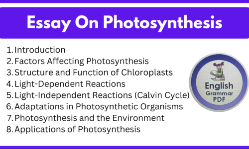 Essay On Photosynthesis (600 Words Download Free Pdf)