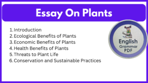 Essay On Plants