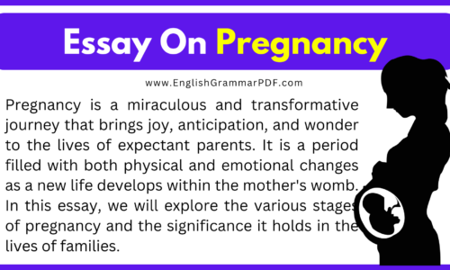 500 Words Short Essay On Pregnancy (Download Free PDF)