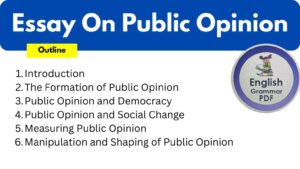 Essay On Public Opinion