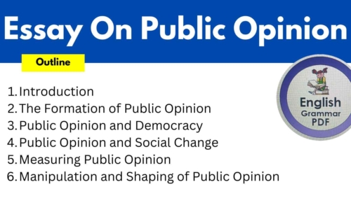 650 Words Short Essay On Public Opinion (Free English Essay)