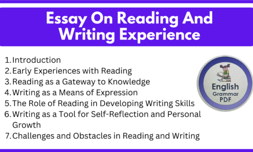 Essay On Reading And Writing Experience (Free English Essay)