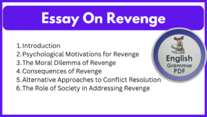 Essay On Revenge