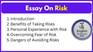 Essay On Risk