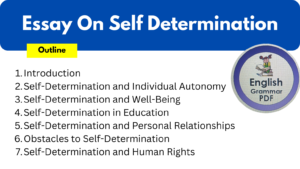 Essay On Self Determination