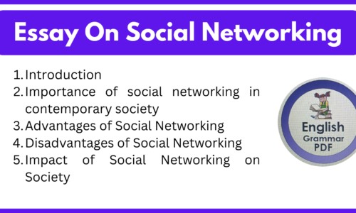 Essay On Social Networking (Download Free PDF)