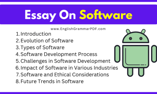 Essays On Software (Download Free Pdf)