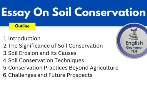 686 Words Essay On Soil Conservation (Free English Essays)