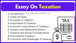 Essay On Taxation