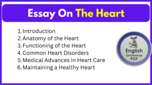 Essay On The Heart