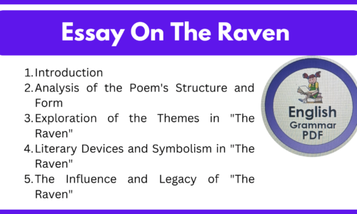 Essay On The Raven (Free English Essays)