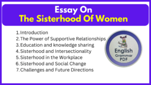 Essay On The Sisterhood Of Women