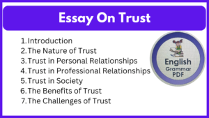 Essay On Trust