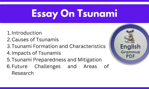 Essay On Tsunami (Free English Essays)