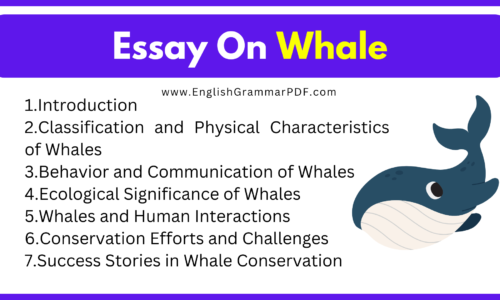 500 Words Short Essay On Whale (Free English Essays)