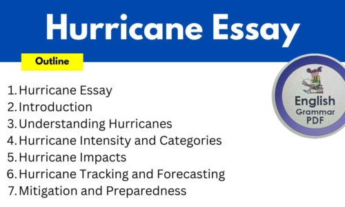 650 Words Hurricane Essay (Free English Essays)