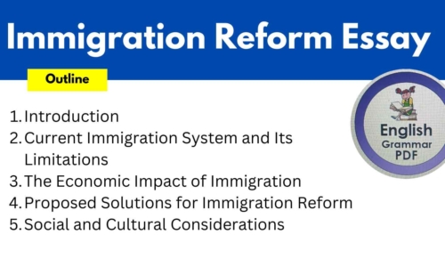 694 Words Immigration Reform Essay (Free English Essays)