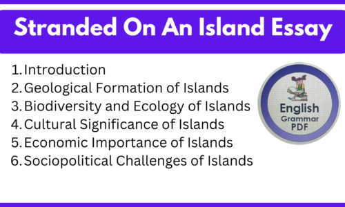 Stranded On An Island Essay (Free English Essays)