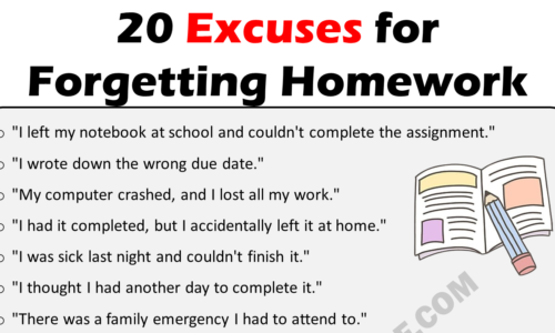 20 Best Excuses For Forgetting Homework