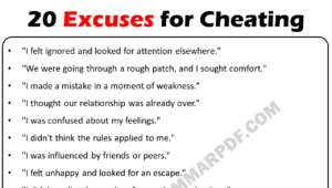 20 Excuses for Cheating Copy