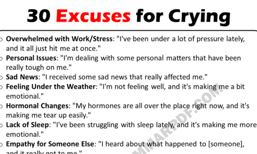 20 Best Excuses For Crying