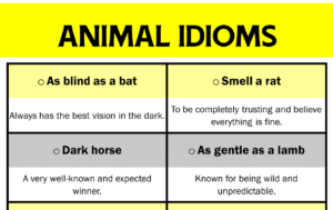 Animal Idioms