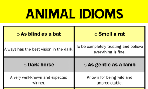 20 Animal Idioms and Phrases That You Should Learn