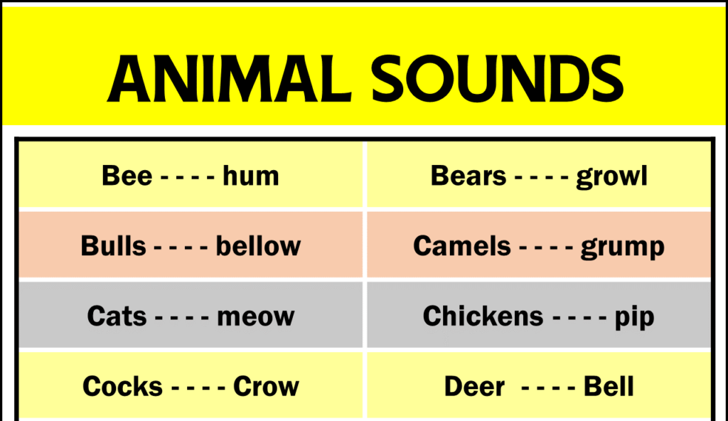 Animal Sounds Copy