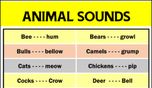 Animal Sounds Copy