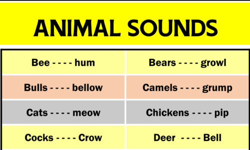 Animal Sounds That You Should Learn! 77 Animals and Their Sounds