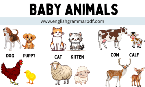 Baby Animals: List of Popular Animals and Their Babies