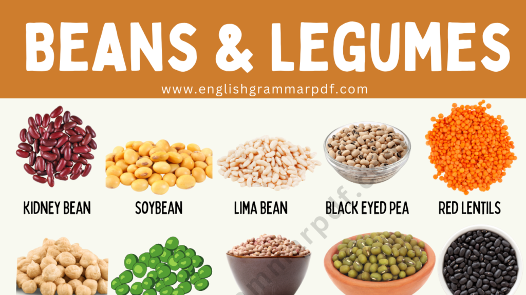Different types of beans and legumes