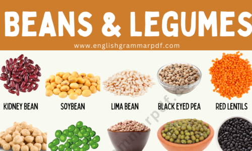 Types of Beans: 30 Edible Beans & Legumes With Pictures