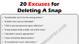 Excuses For Deleting A Snap Copy