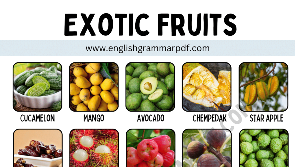 Exotic Fruits Copy